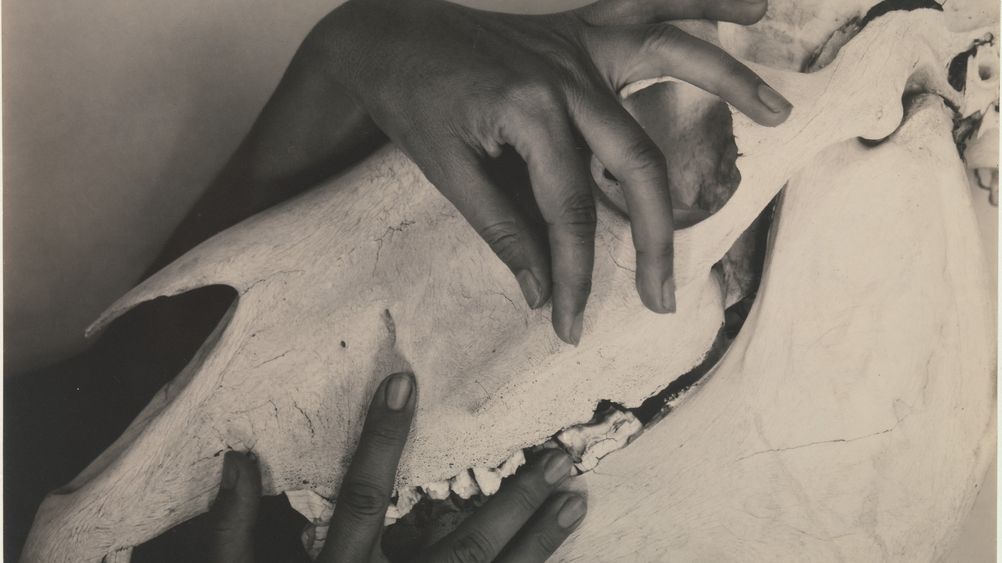 Georgia O'Keeffe - Hands and Horse Skull