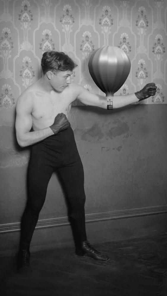 Boxer