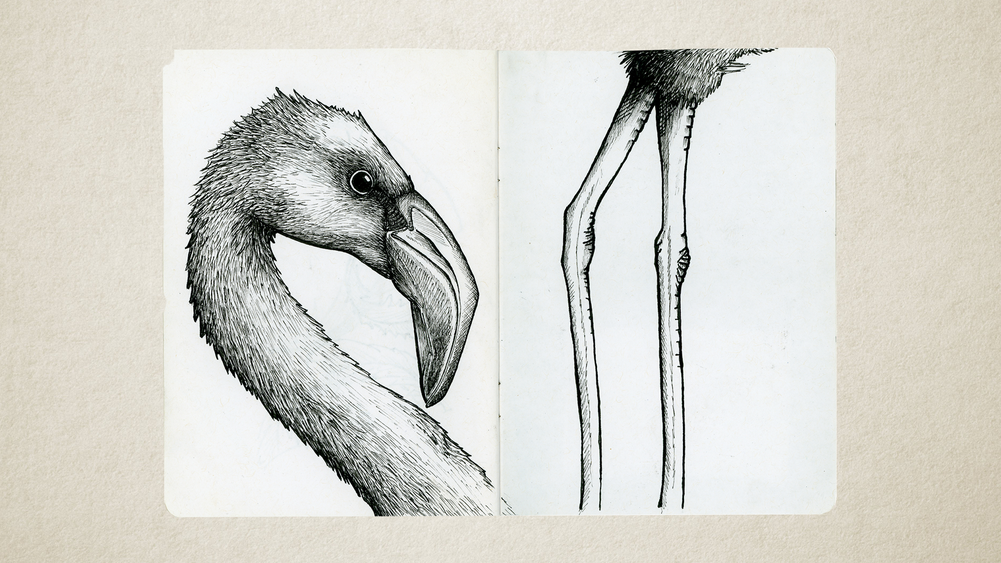 Feathered Parts