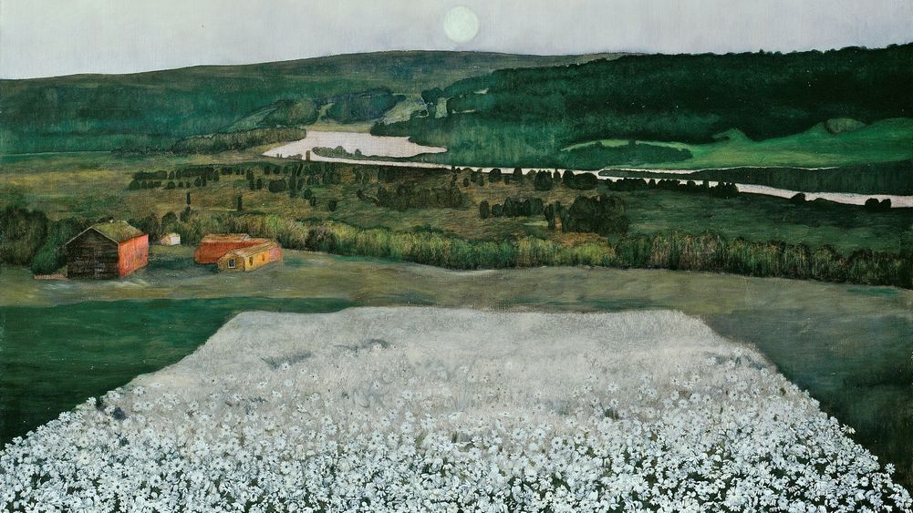 Flower Meadow in the North