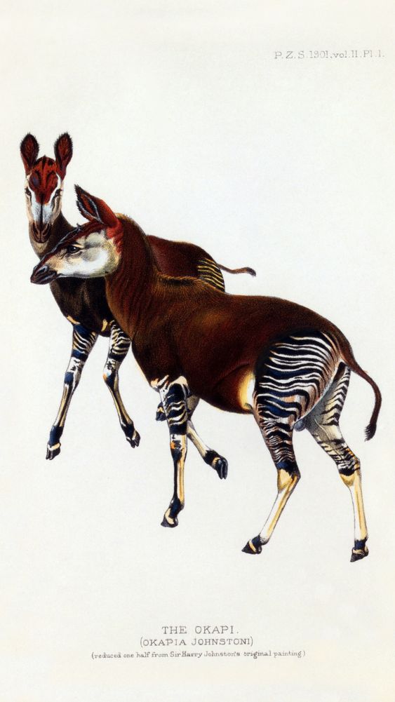 Henry Riley Bradbury | Explore Meural's Permanent Art Collection ...