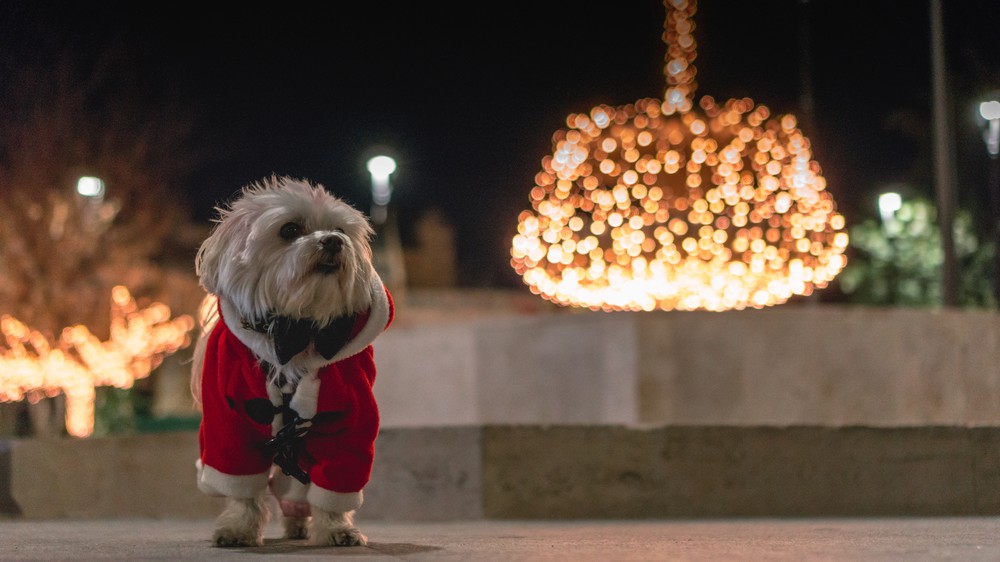 Santa Clause