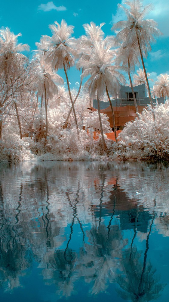 Blue Water