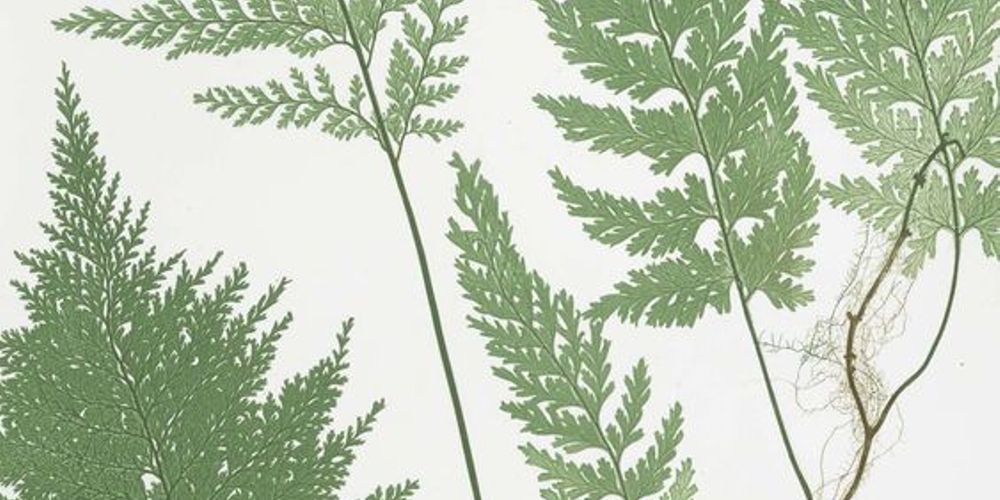 Henry Riley Bradbury | Explore Meural's Permanent Art Collection ...