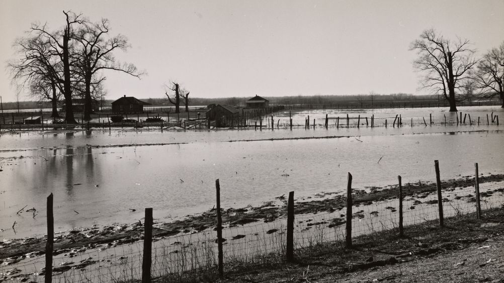 Submerged Farmland near Tiptonville, Tennessee