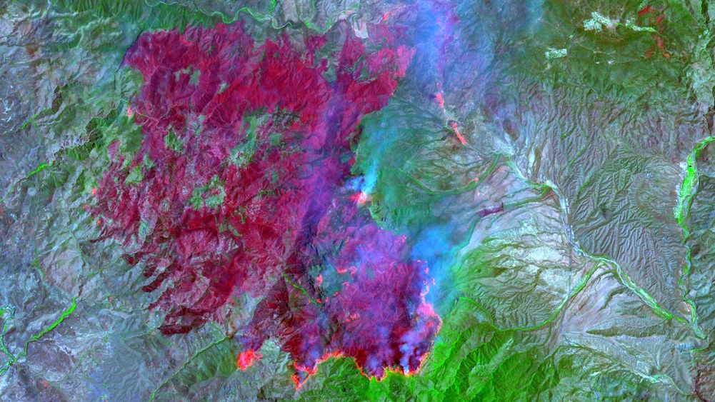 Willow Fire, Arizona