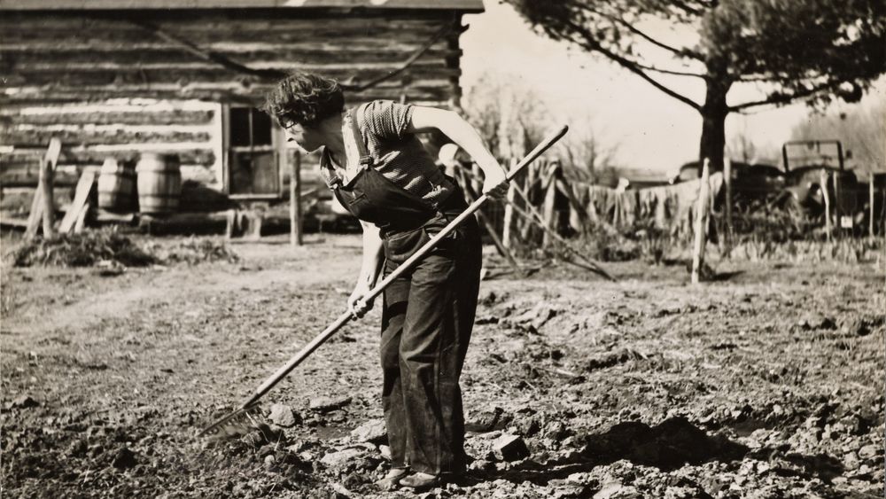 Farmer's Wife near Gibbs City, Michigan