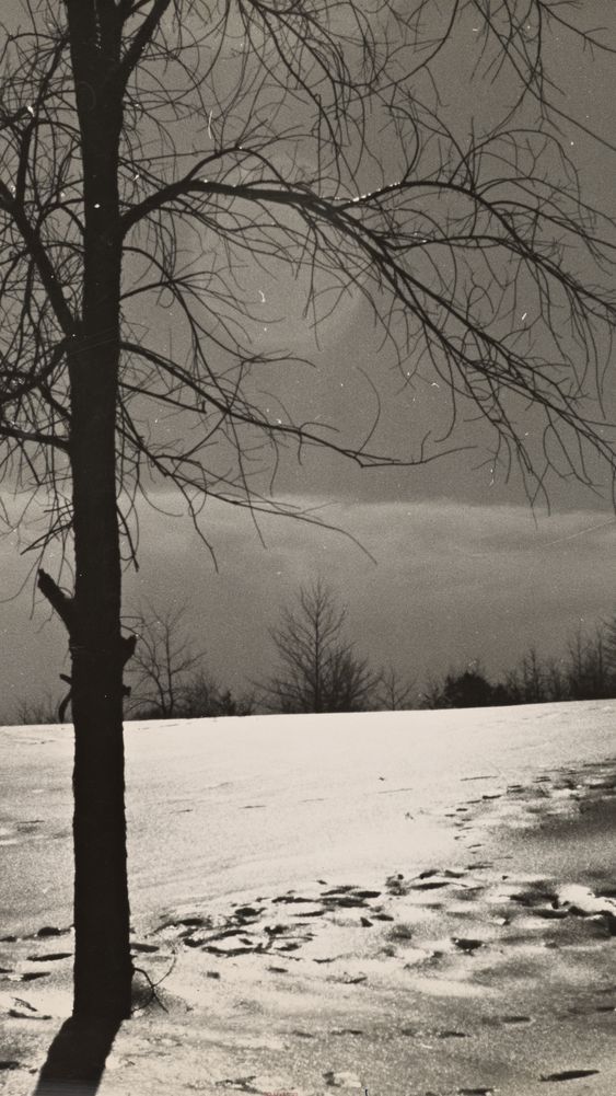 Snow Scene, New Hampshire