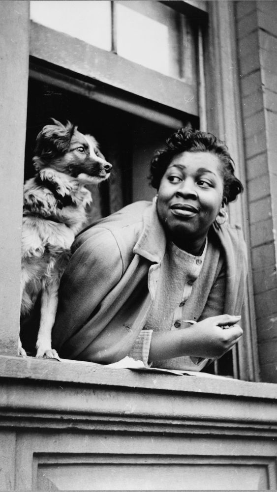 A Woman and her Dog in Harlem