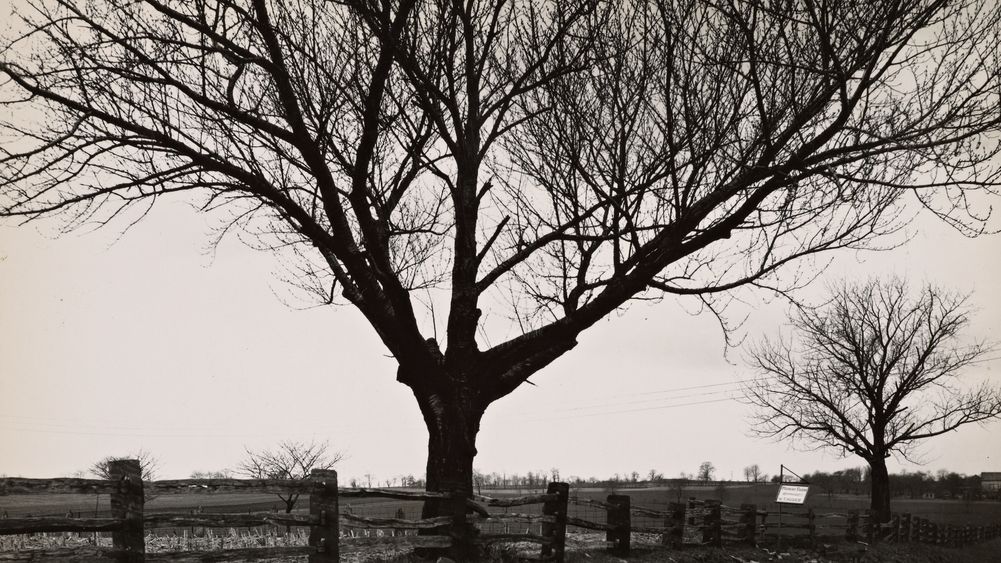 Construction detail of fence near Bethlehem, Pennsylvania