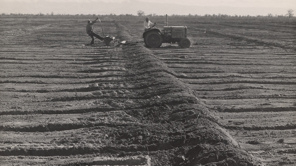 Lettuce workers, California