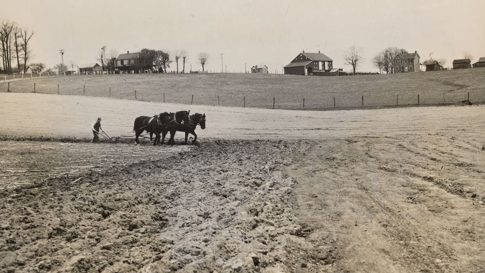 Plowing on a Maryland Farm