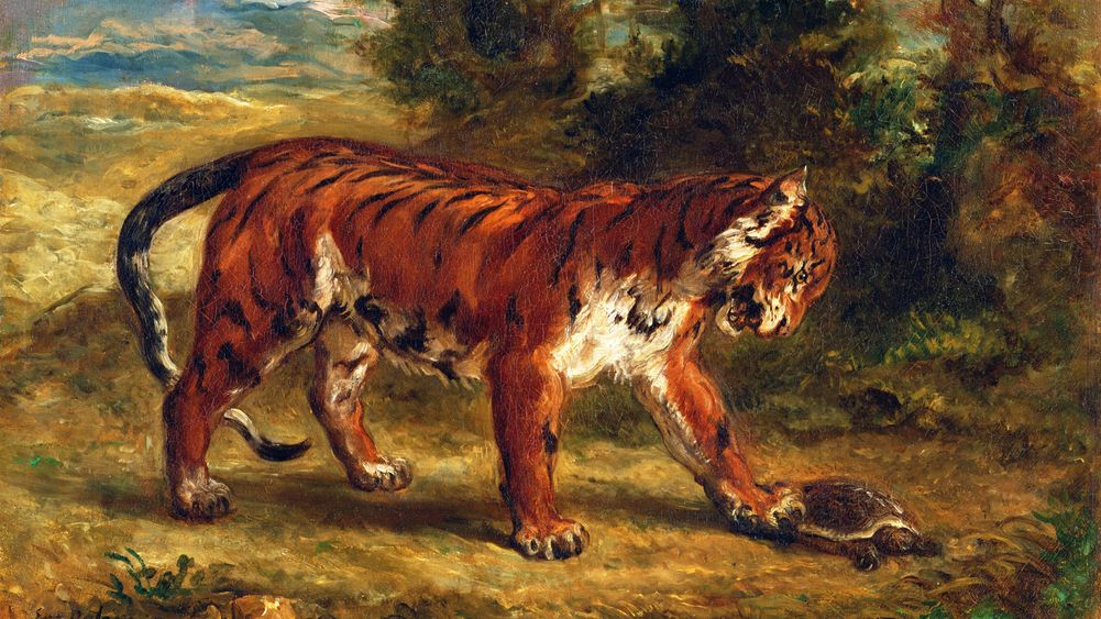 Tiger with Tortoise