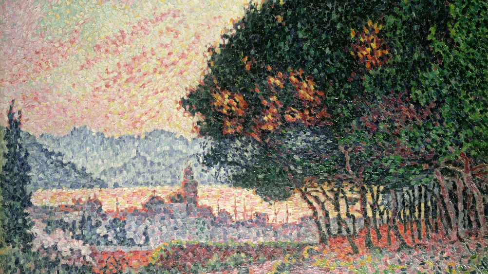 Forest near St. Tropez