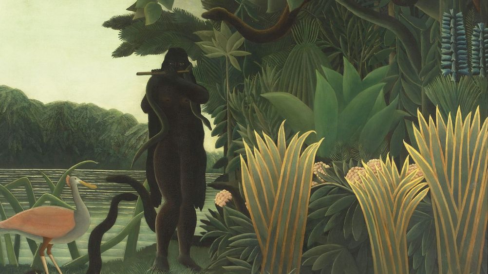 The Snake Charmer