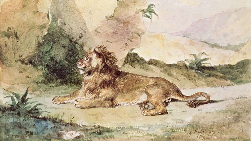 A Lion in the Desert