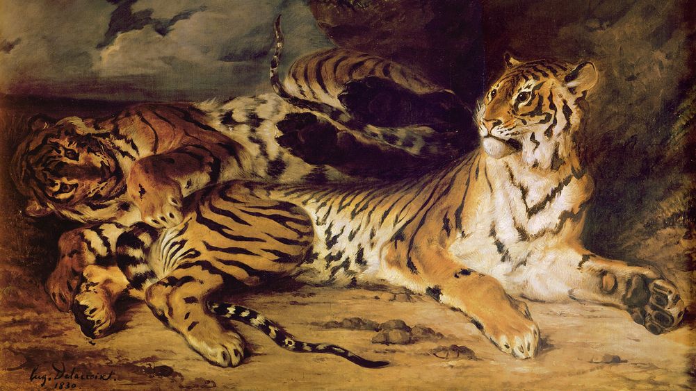 Young Tiger Playing with his Mother