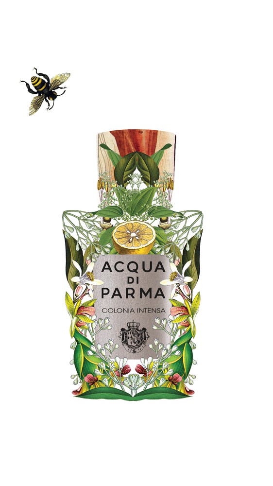 Acqua di Parma - Colonia Intensa