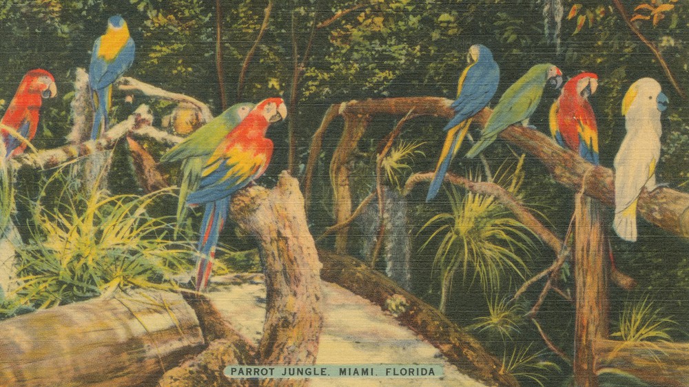 Florida Postcard II