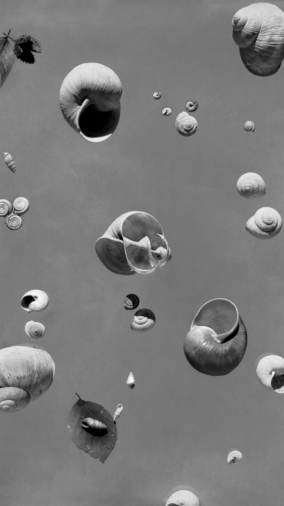 Floating Shells