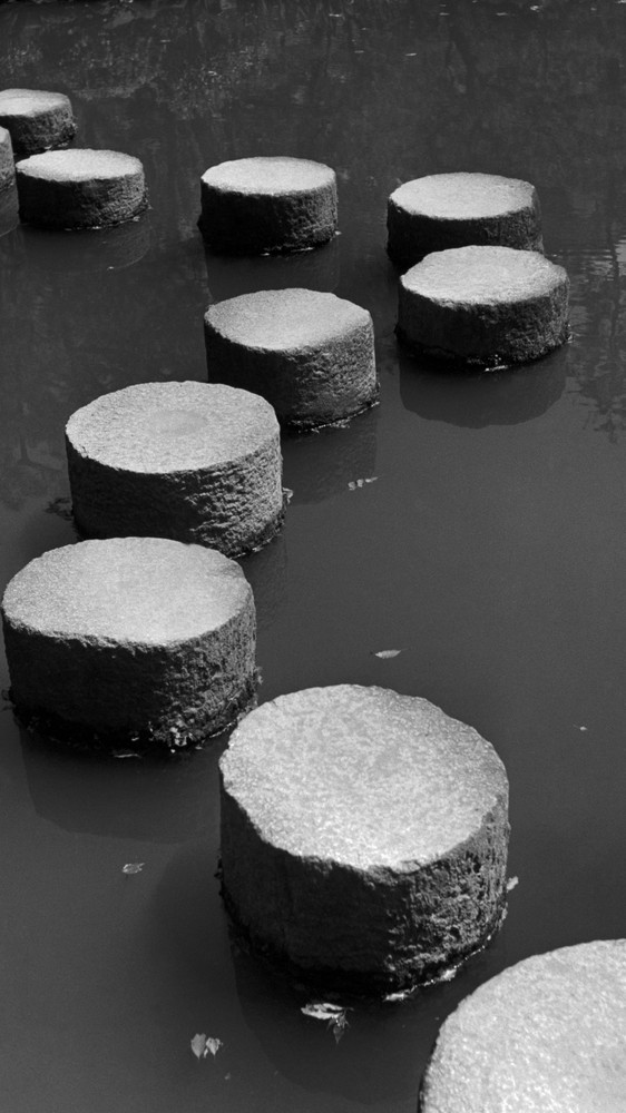 Stone Steps Over Pond