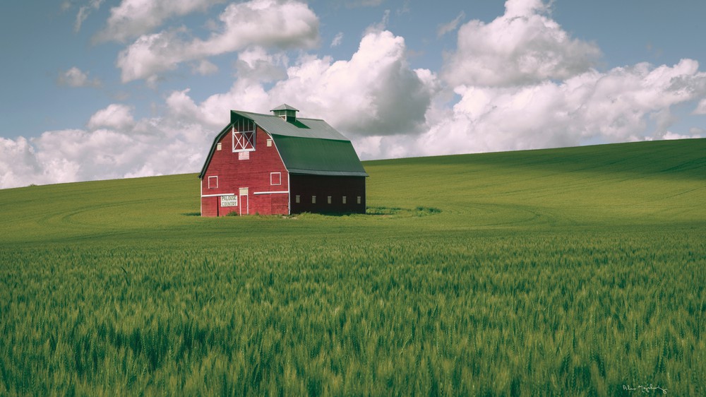 Palouse Region Red Barn I