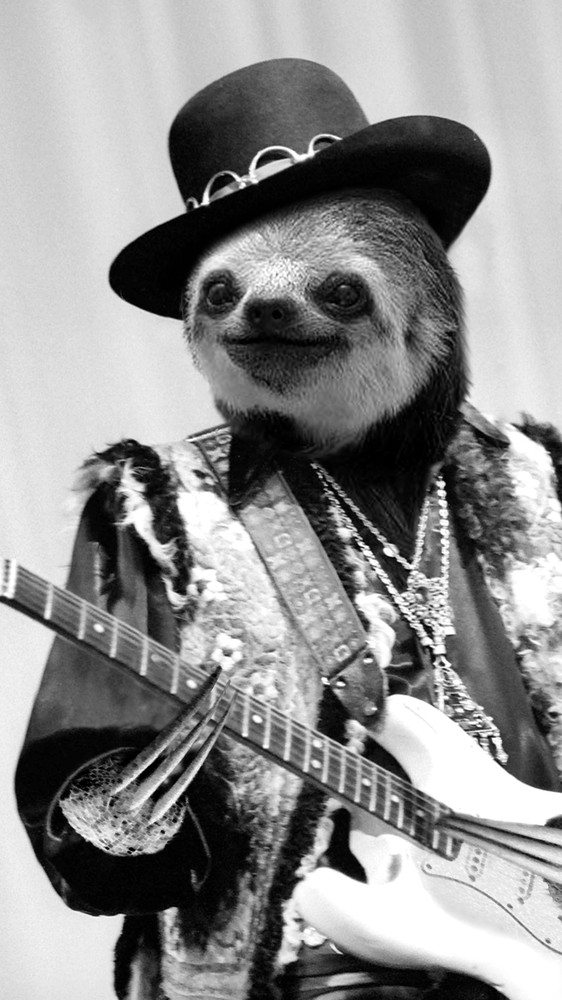 Rockstar Sloth #2