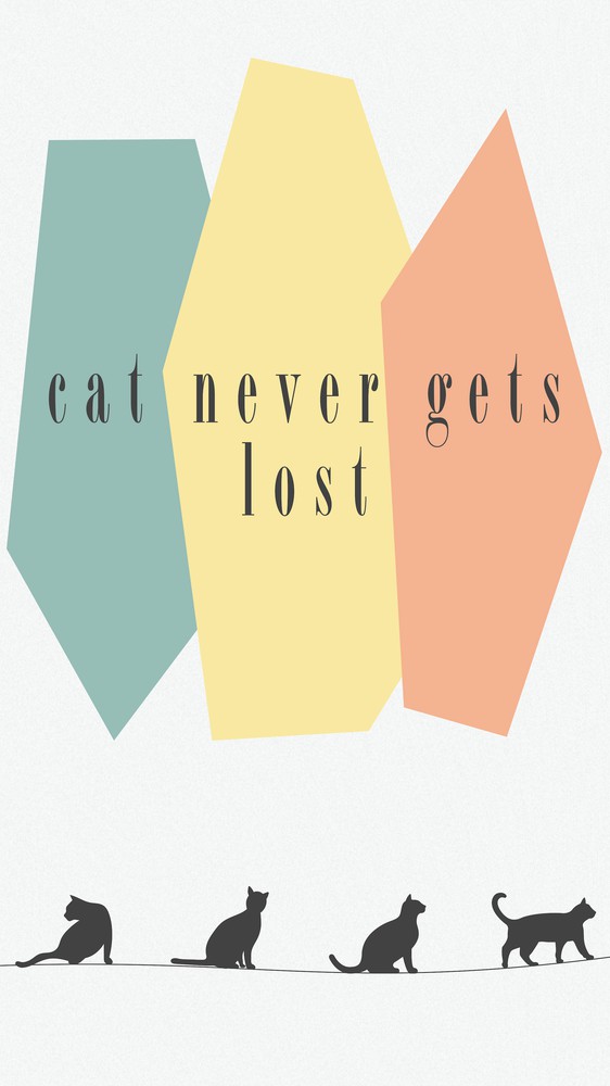 cat never gets lost