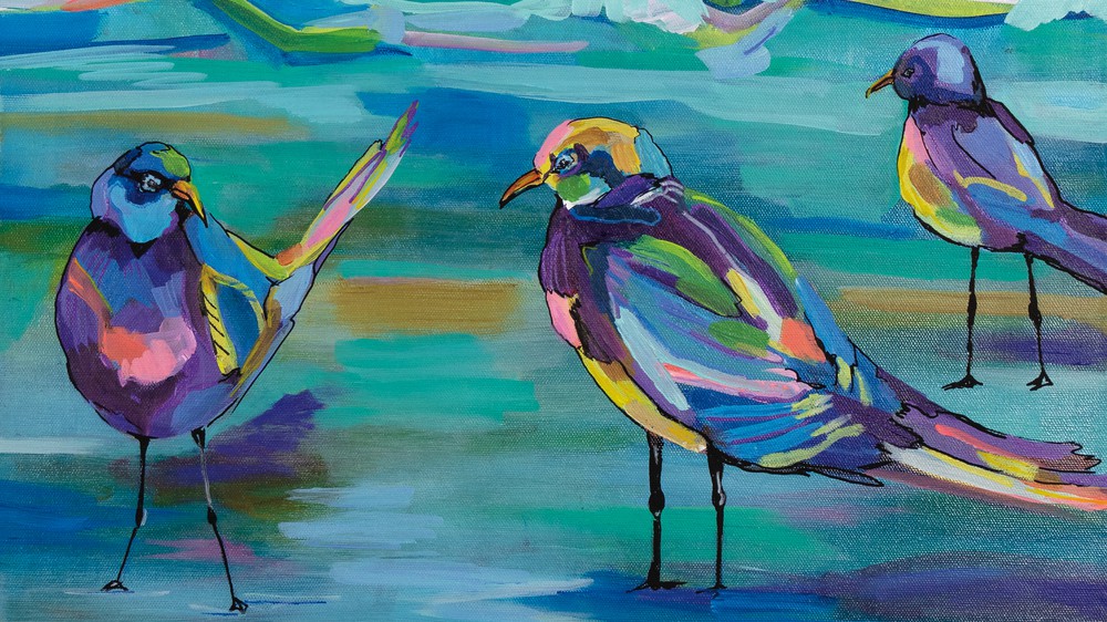 Indigo Gulls