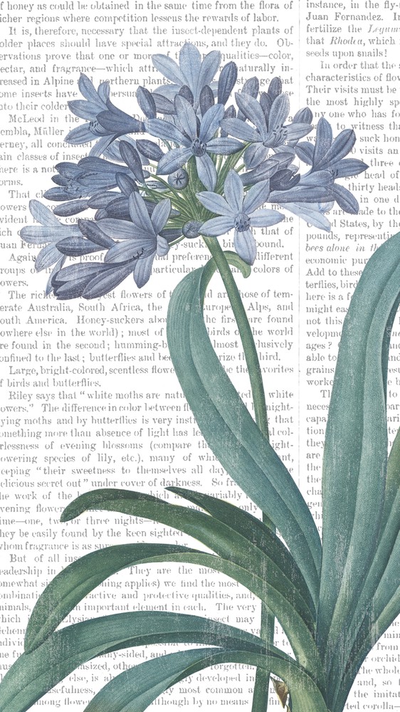 Summer Botanicals I
