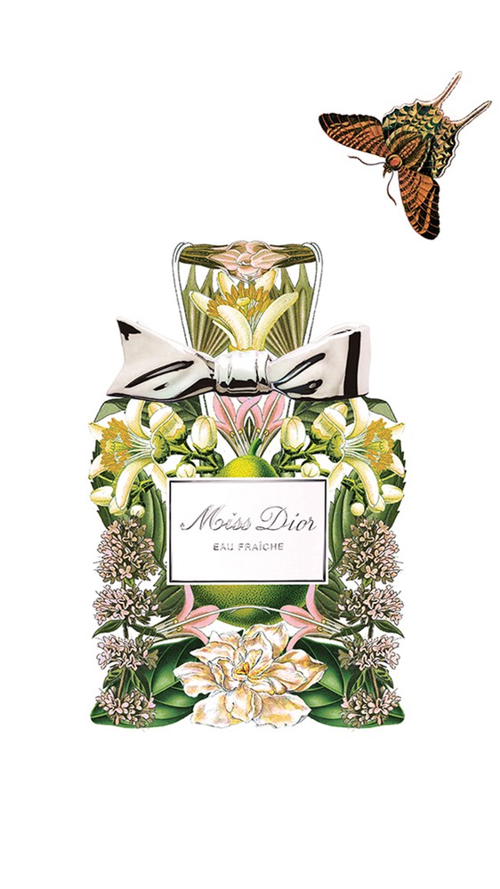 FLORAL ALCHEMY