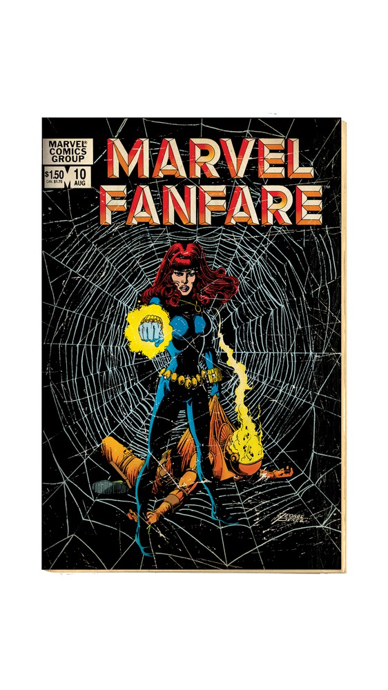 Cover Art: Black Widow in Stance