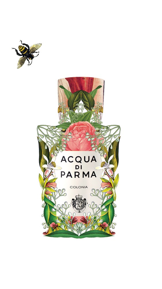 Acqua di Parma - Colonia