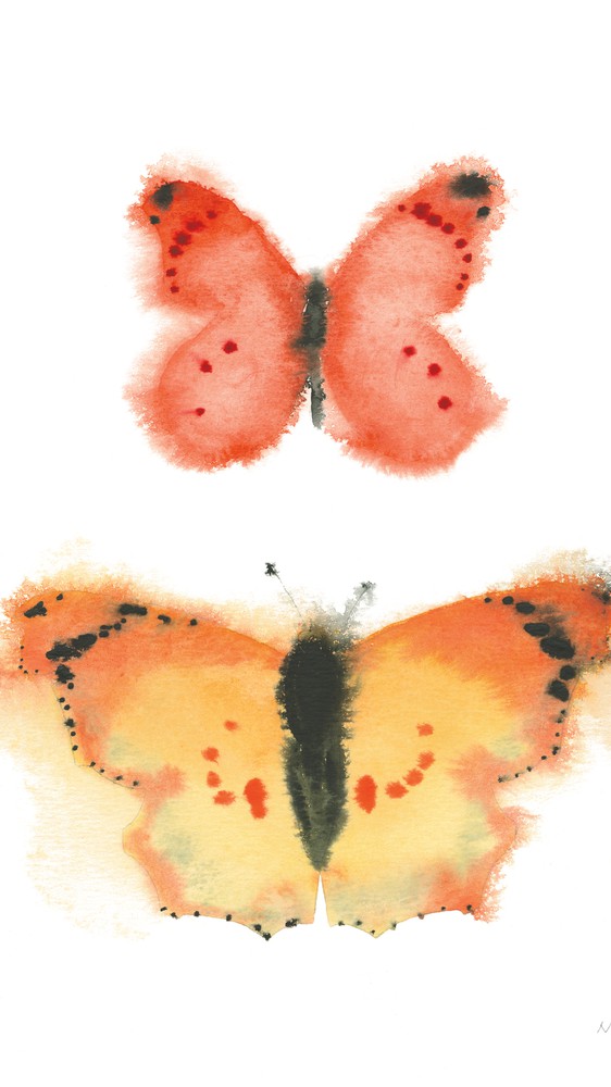 Watercolor Butterflies IV