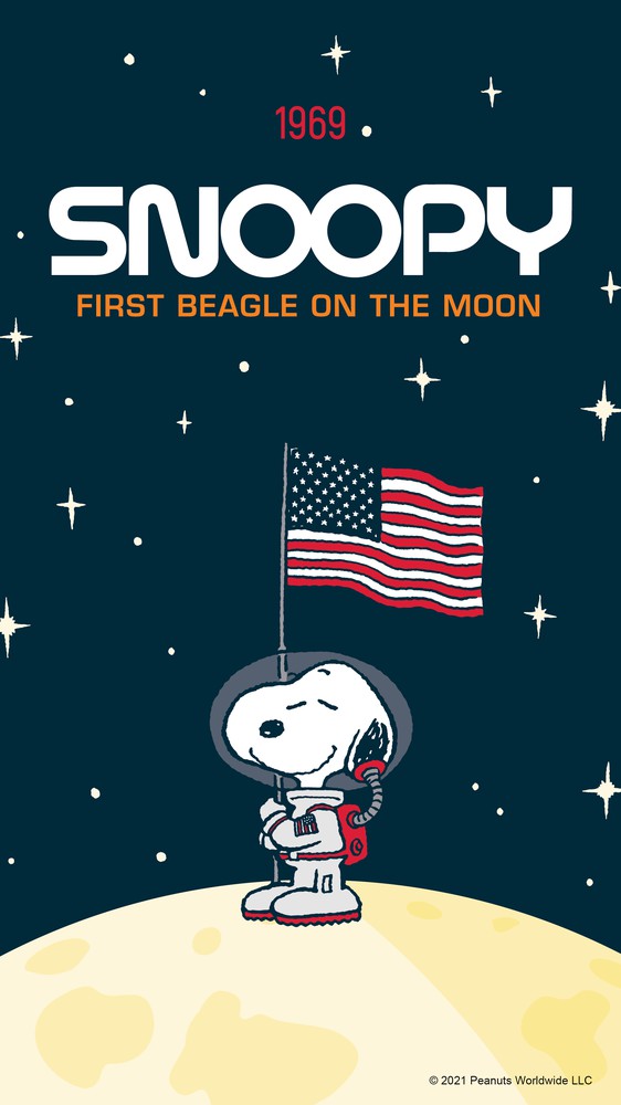 Snoopy on the Moon with Flag