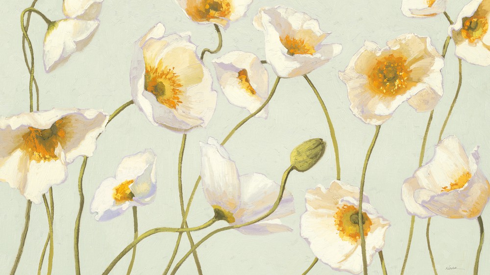 White and Bright Poppies
