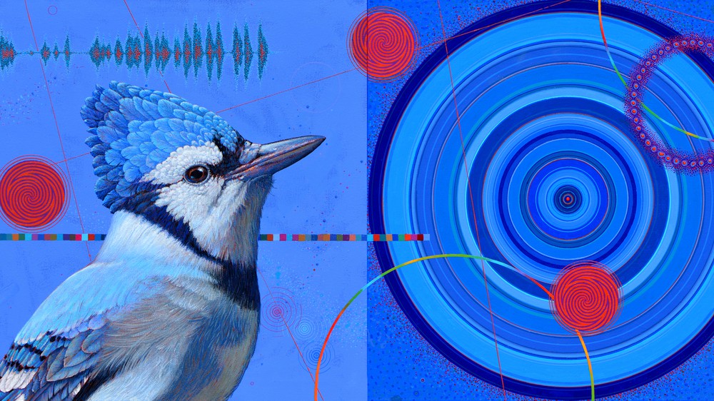 Blues in the Garden