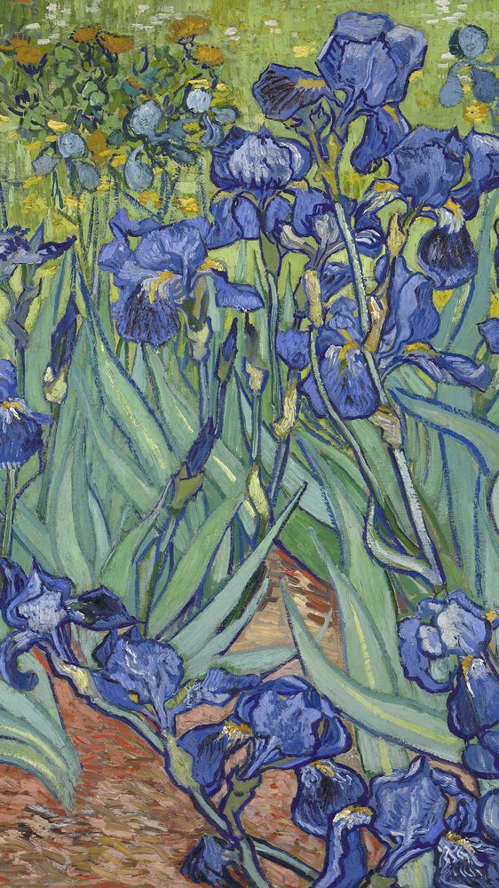 Irises