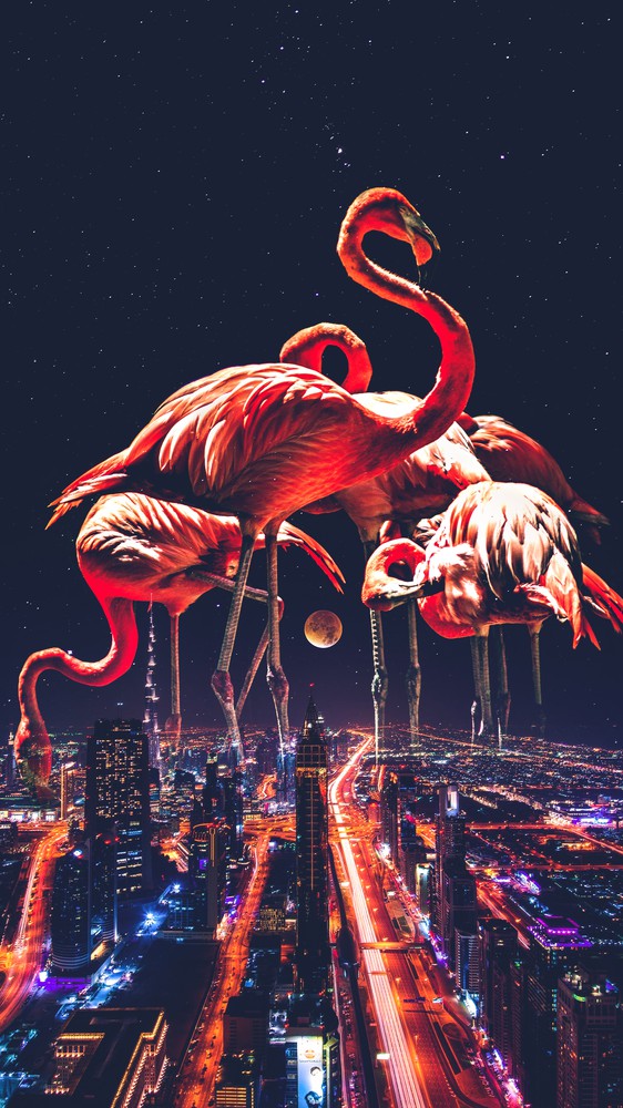Neon Night