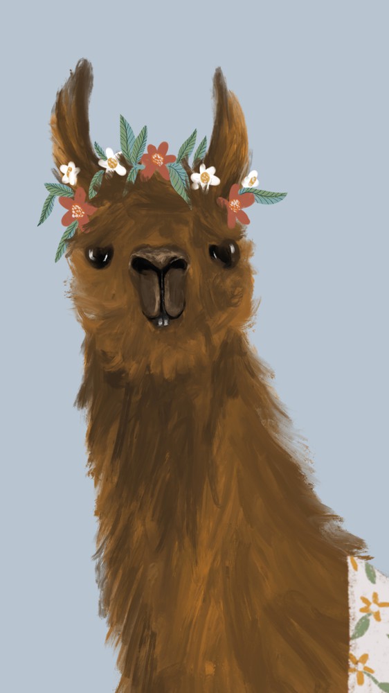 Delightful Alpacas II