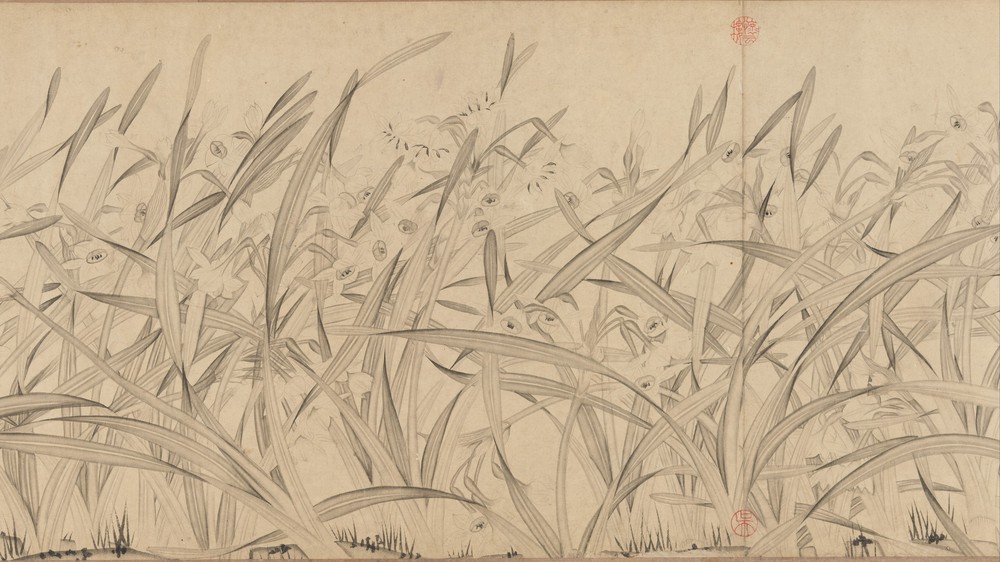 Narcissus (Section 4)