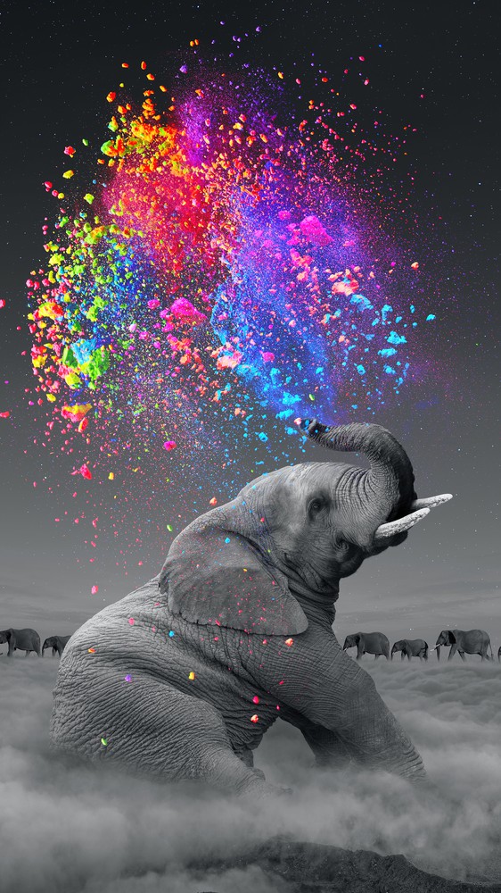 True Colors Within
