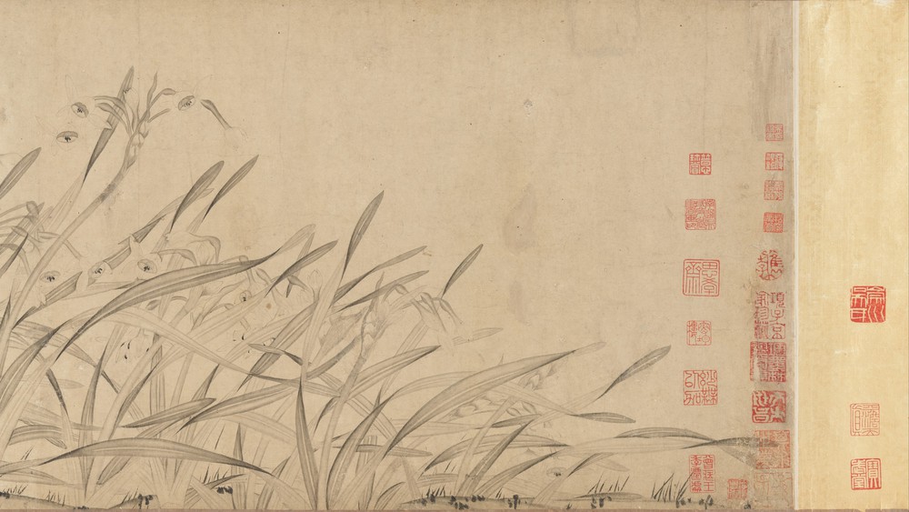 Narcissus (Section 1)