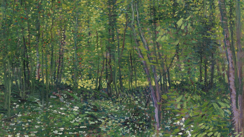 Trees and Undergrowth