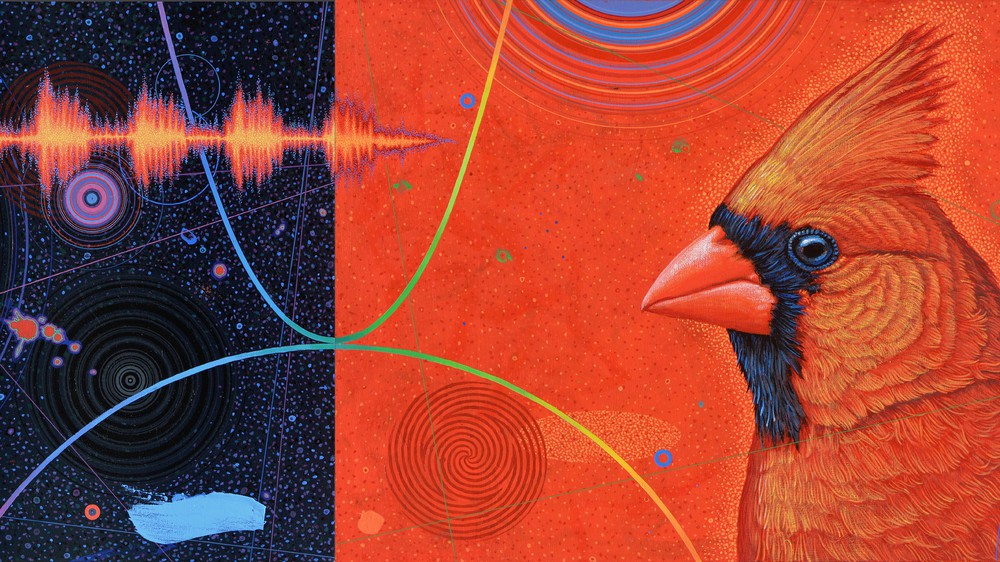 Cardinal Night and Day