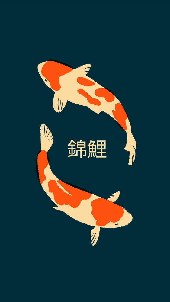 Koi