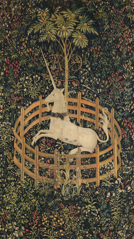 The Unicorn in Captivity