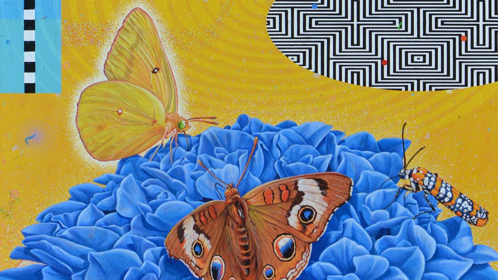 Energy Field 2
