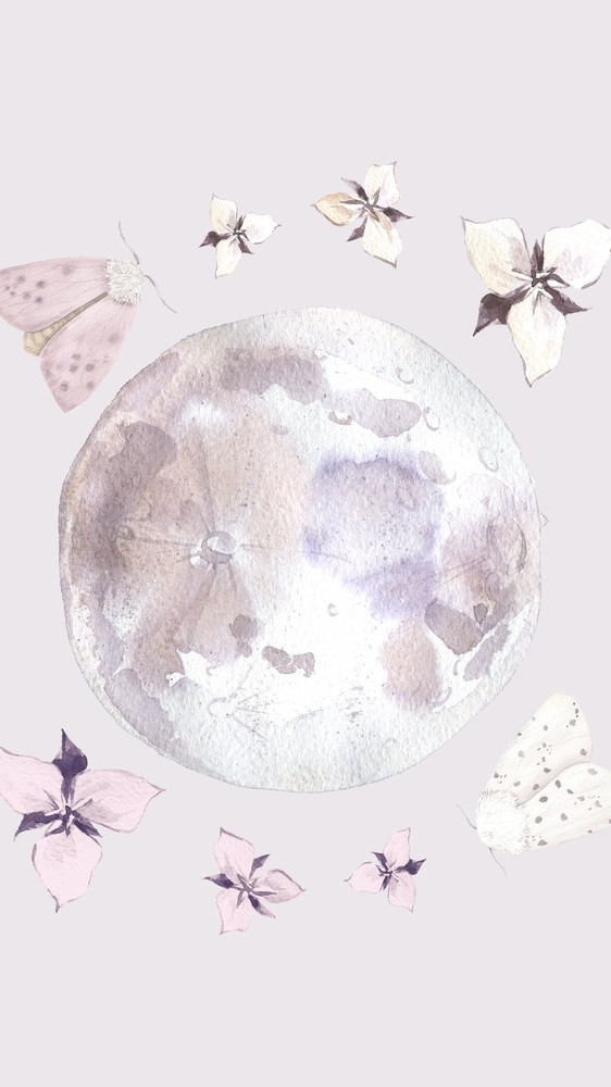 We Used to Fly to the Moon