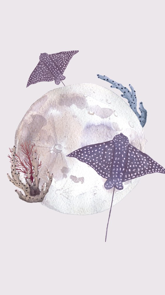 Ocean Moon
